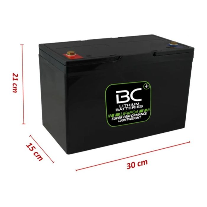 Batteria Litio Lifepo4 Bclt100