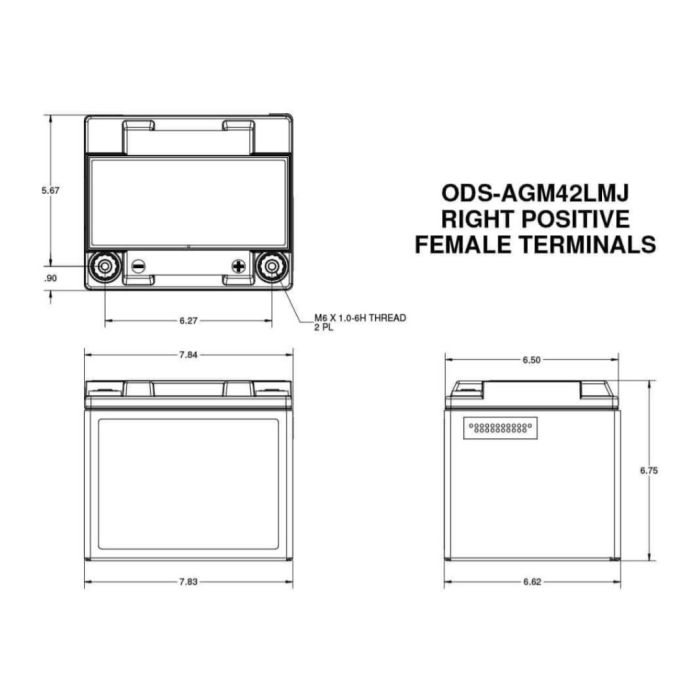 Batteria Odyssey Ods-agm42lmj (ex Pc1200mj) Agm Extreme Series 42 Ah.