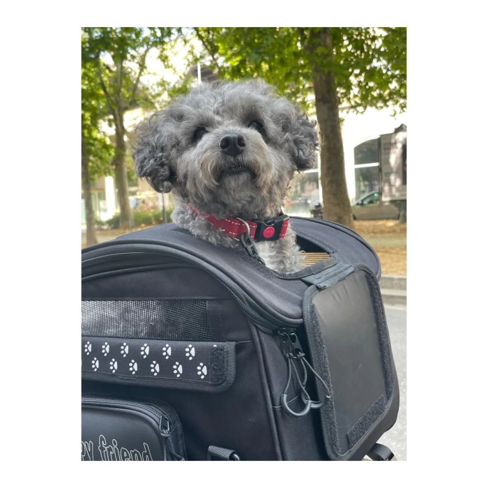 Borsa Porta Animali Domestici Oj Pet Bag 30Lt.