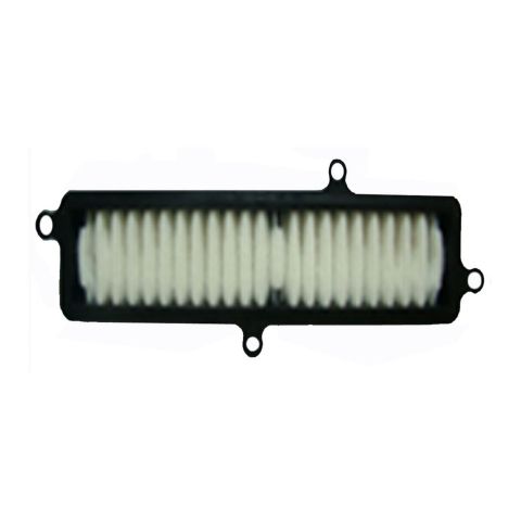 Suzuki Uh Burgman 125/200 07- Filtro Aria E17613