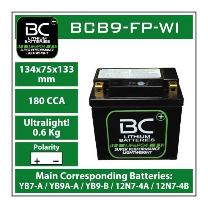 Batteria Litio Lifepo4 Bcb9-wi